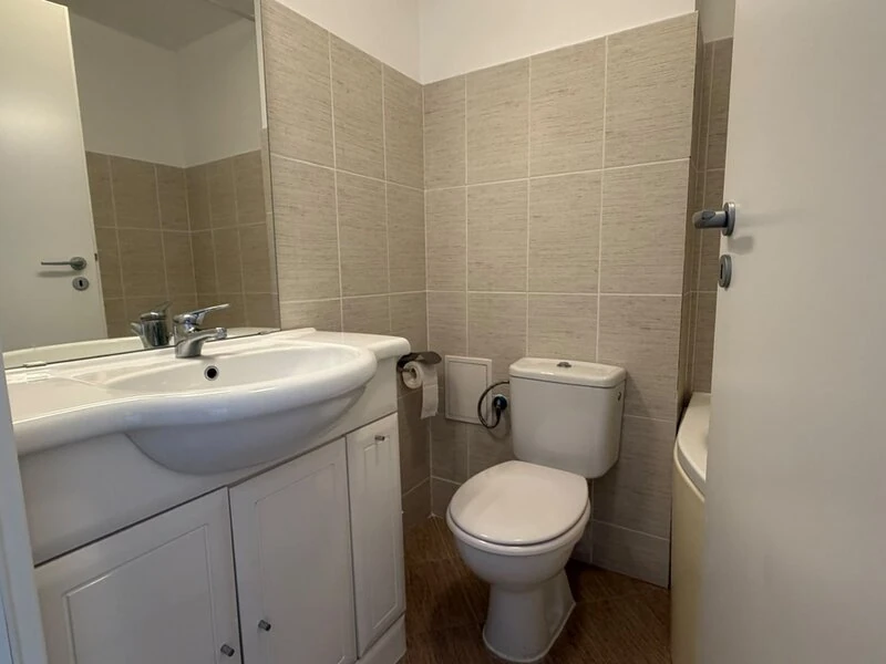 Neutral bathroom with white vanity, toilet and timber-effect flooring