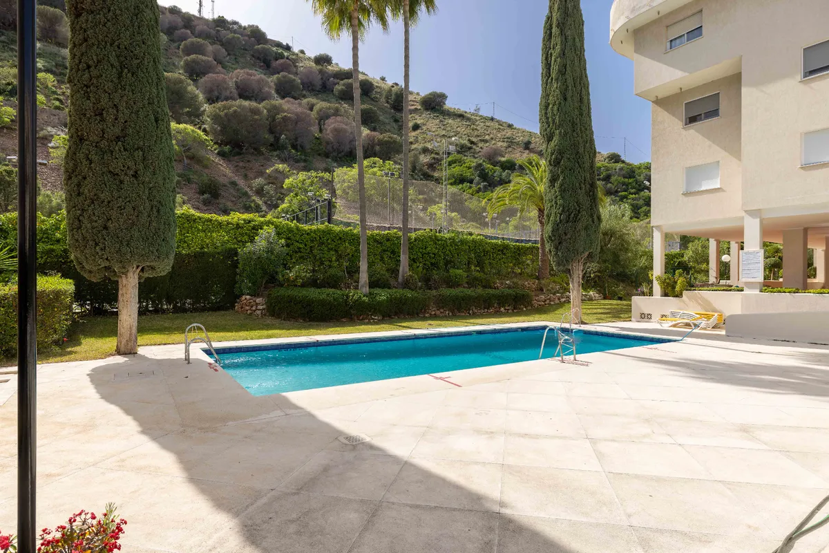 Sunny residents’ swimming pool framed by cypress trees and gardens