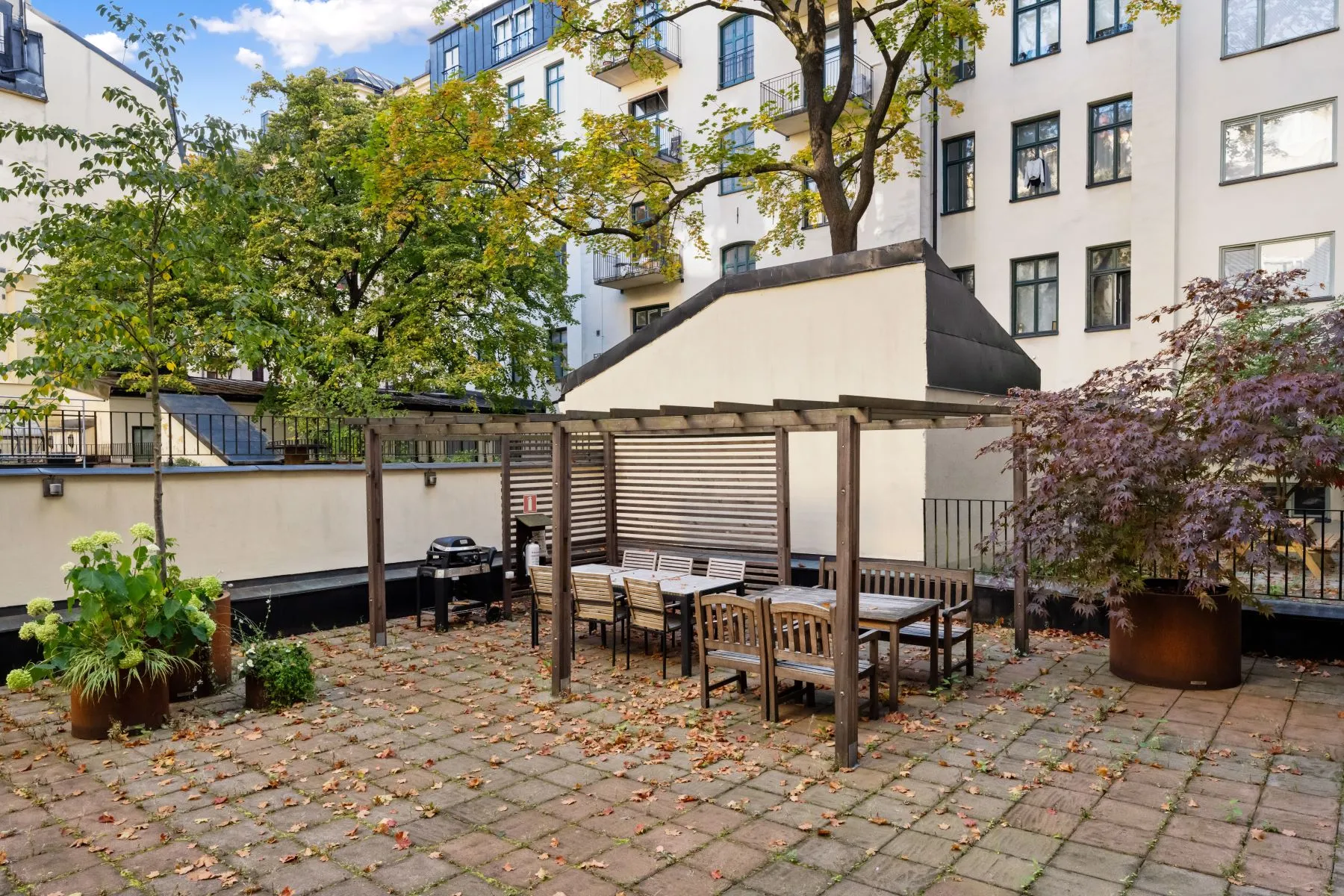 Courtyard dining area with pergola, planting and cobbled terrace